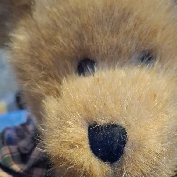 Boyds Bears Tan Teddy with Green Frog - Picture 3 of 9